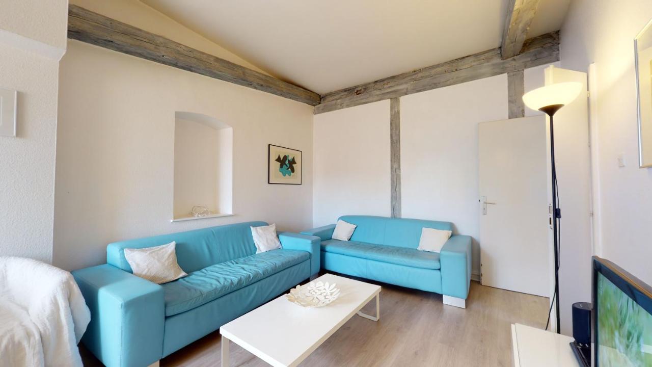 Tel Un Songe Blanc Apartment Colmar Ngoại thất bức ảnh